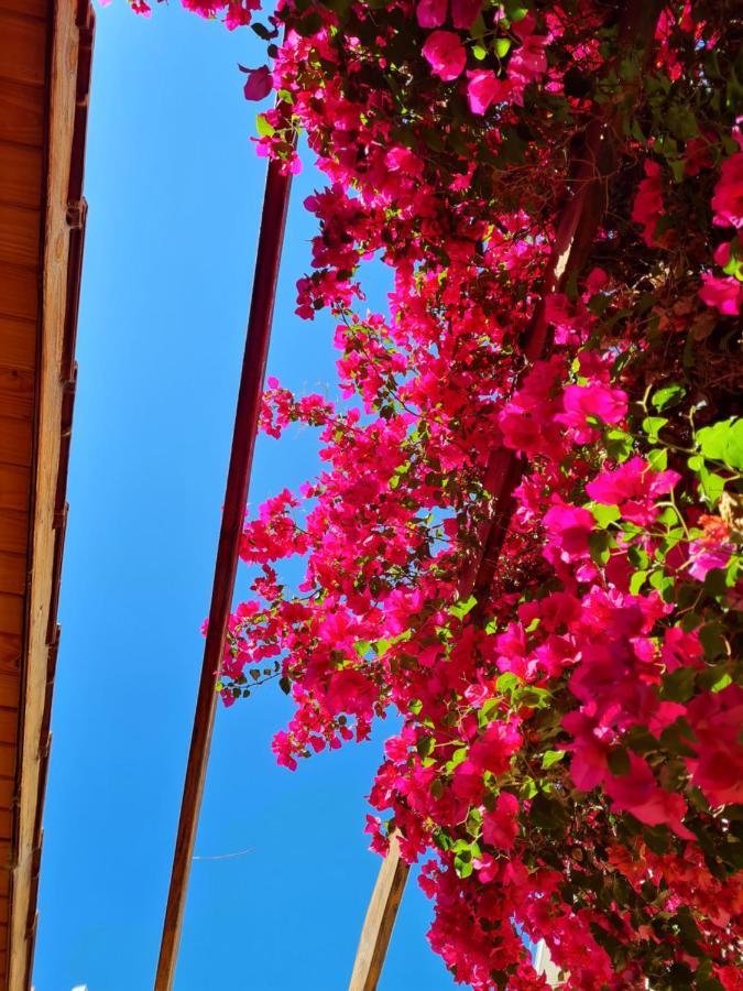 メンドーサ Veinticinco Casa De Huespedesヴィラ エクステリア 写真